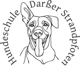 Hundeschule Darßer Strandpfoten